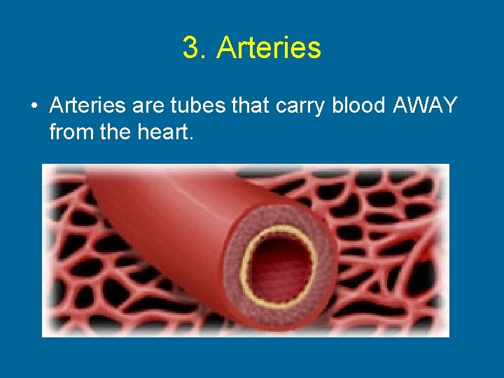 3. Arteries • Arteries are tubes that carry blood AWAY from the heart. 