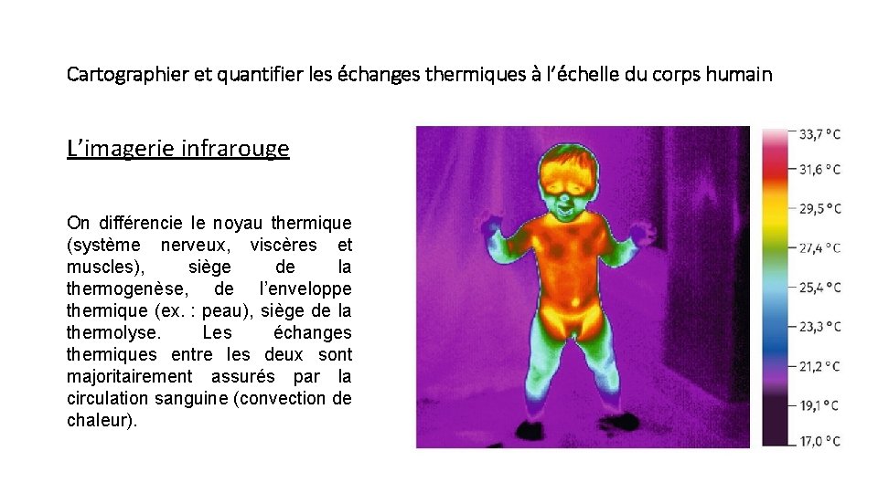 Cartographier et quantifier les échanges thermiques à l’échelle du corps humain L’imagerie infrarouge On