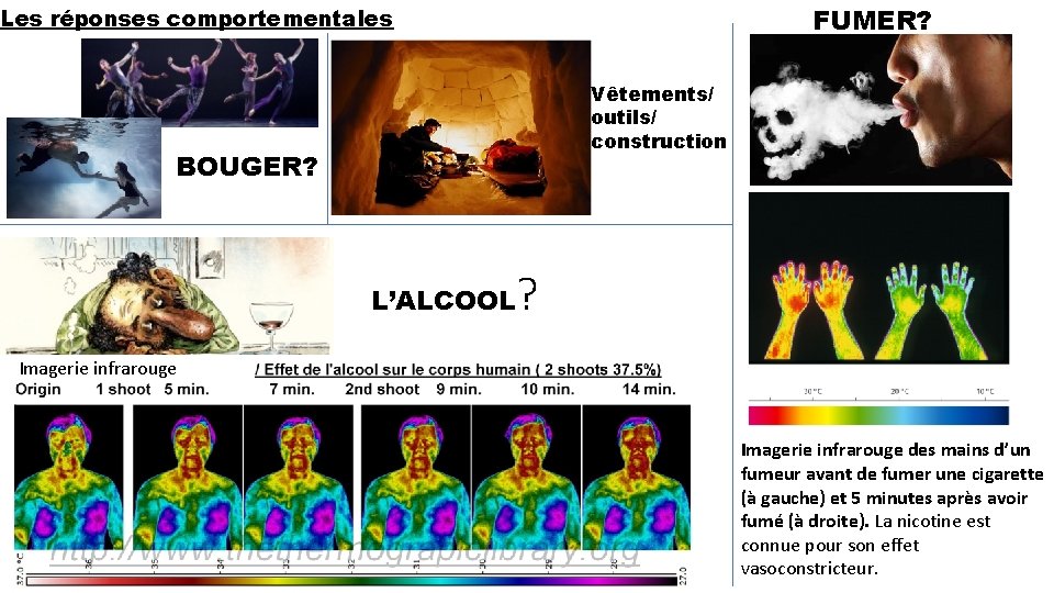 FUMER? Les réponses comportementales Vêtements/ outils/ construction BOUGER? L’ALCOOL ? Imagerie infrarouge des mains