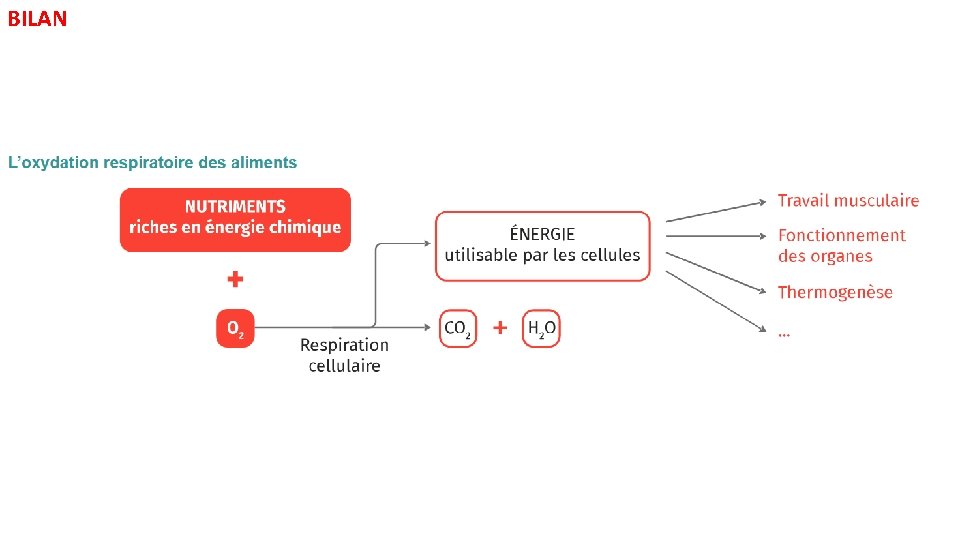 BILAN 