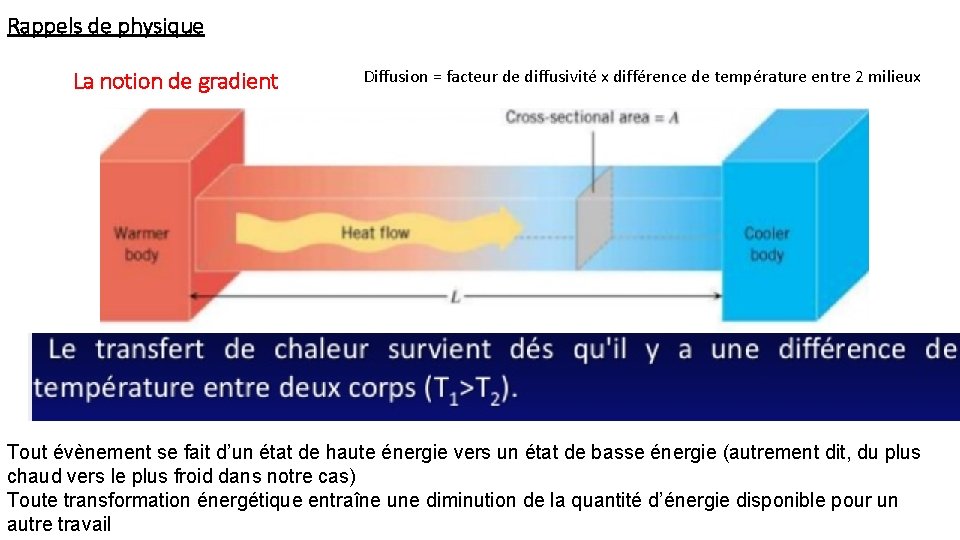 Rappels de physique La notion de gradient Diffusion = facteur de diffusivité x différence