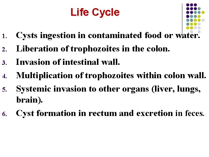 Life Cycle 1. 2. 3. 4. 5. 6. Cysts ingestion in contaminated food or