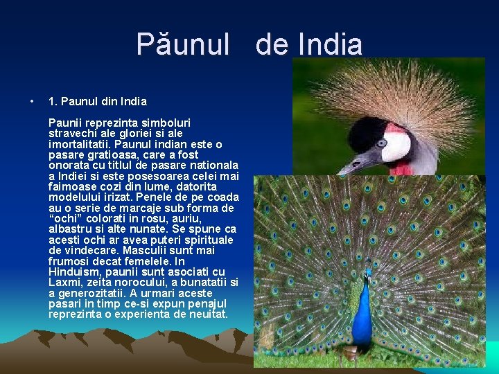 Păunul de India • 1. Paunul din India Paunii reprezinta simboluri stravechi ale gloriei