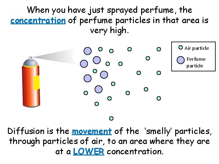 When you have just sprayed perfume, the concentration of perfume particles in that area