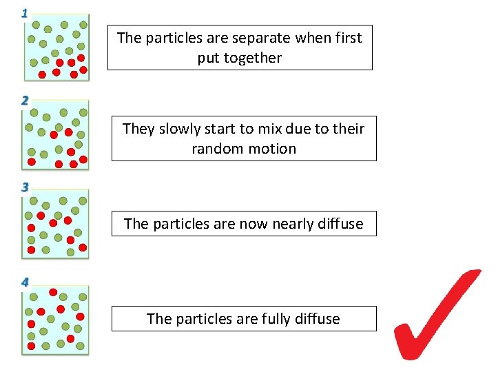 The particles are separate when first put together They slowly start to mix due
