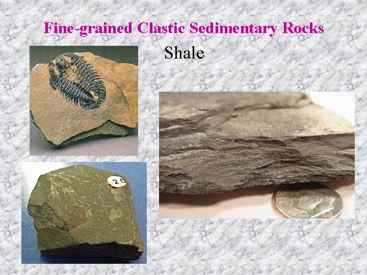 Fine-grained Clastic Sedimentary Rocks Shale 