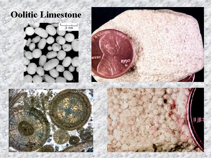 Oolitic Limestone 