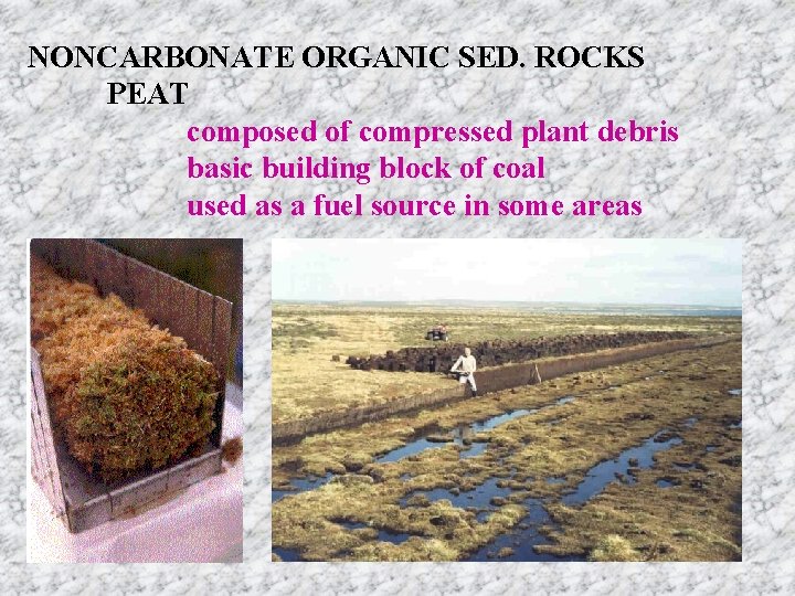 NONCARBONATE ORGANIC SED. ROCKS PEAT composed of compressed plant debris basic building block of