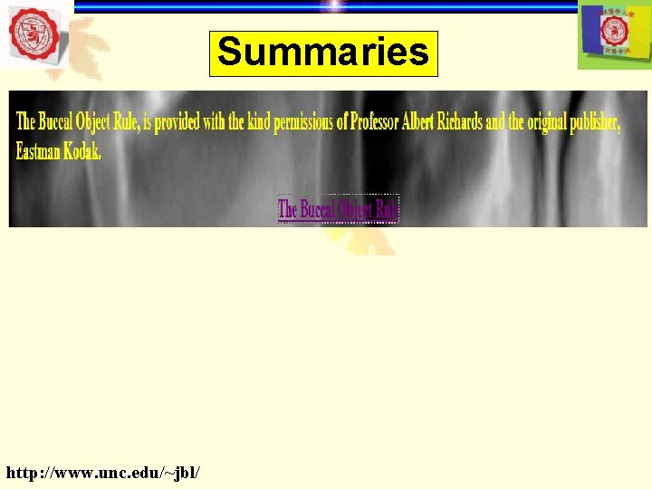 Summaries http: //www. unc. edu/~jbl/ Summaries http: //www. unc. edu/~jbl/