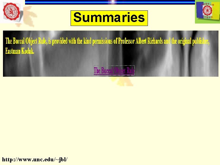 Summaries http: //www. unc. edu/~jbl/ 