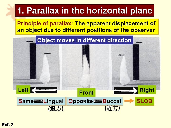 1. Parallax in the horizontal plane Principle of parallax: The apparent displacement of an