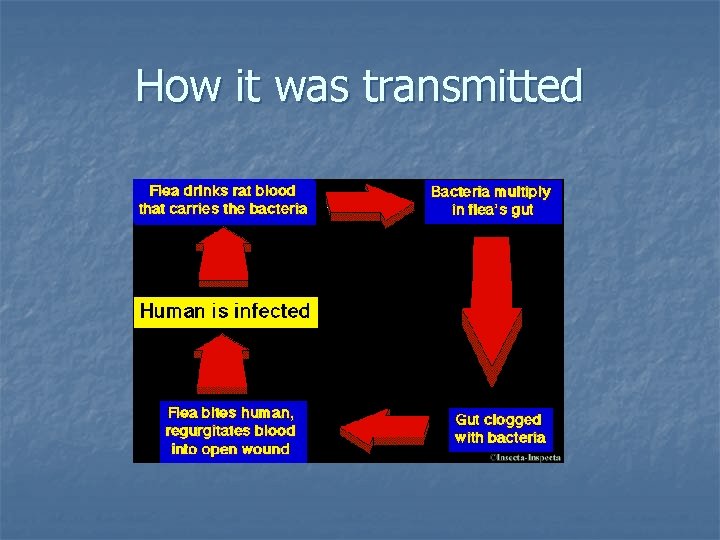 How it was transmitted 