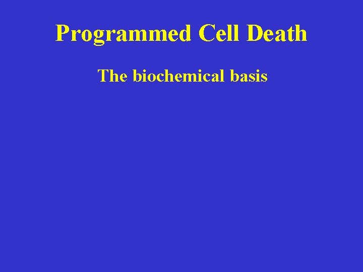 Programmed Cell Death The biochemical basis 