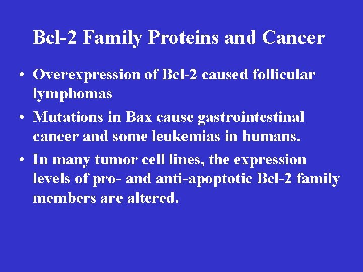 Bcl-2 Family Proteins and Cancer • Overexpression of Bcl-2 caused follicular lymphomas • Mutations