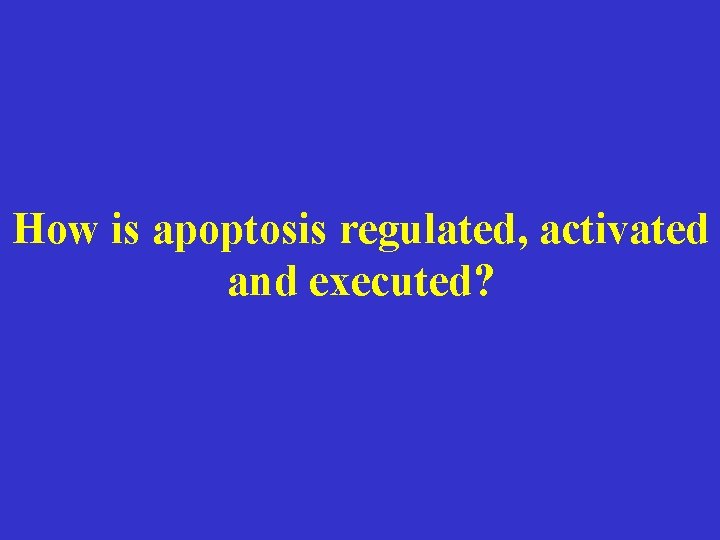How is apoptosis regulated, activated and executed? 