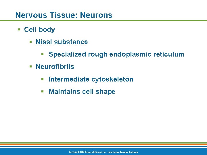 Nervous Tissue: Neurons § Cell body § Nissl substance § Specialized rough endoplasmic reticulum