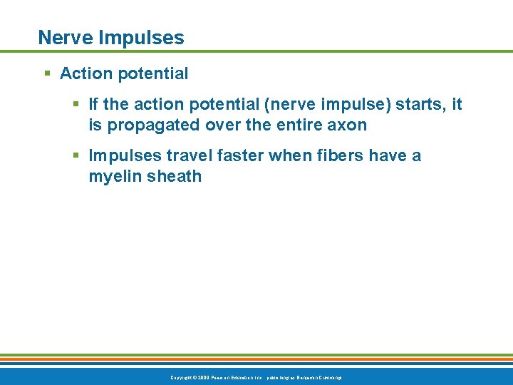 Nerve Impulses § Action potential § If the action potential (nerve impulse) starts, it
