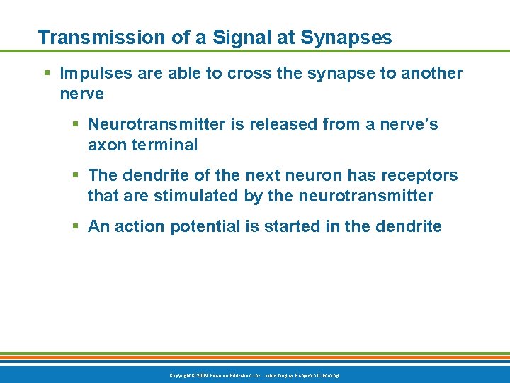 Transmission of a Signal at Synapses § Impulses are able to cross the synapse