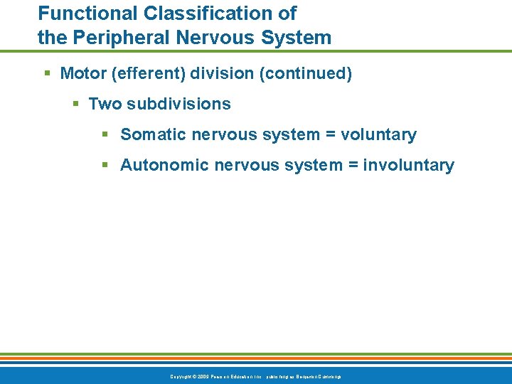 Functional Classification of the Peripheral Nervous System § Motor (efferent) division (continued) § Two