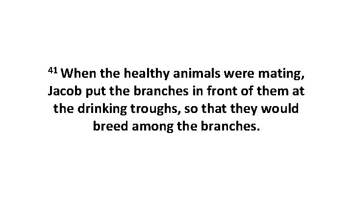 41 When the healthy animals were mating, Jacob put the branches in front of