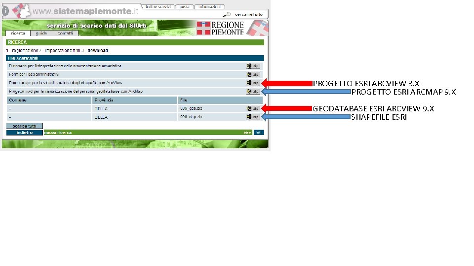 PROGETTO ESRI ARCVIEW 3. X PROGETTO ESRI ARCMAP 9. X GEODATABASE ESRI ARCVIEW 9.