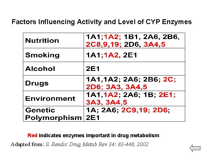 Factors Influencing Activity and Level of CYP Enzymes Red indicates enzymes important in drug