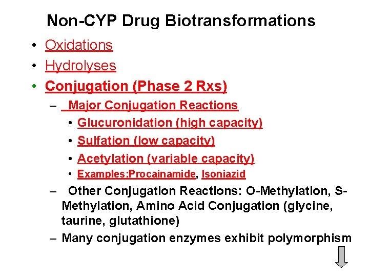 Non-CYP Drug Biotransformations • Oxidations • Hydrolyses • Conjugation (Phase 2 Rxs) – Major