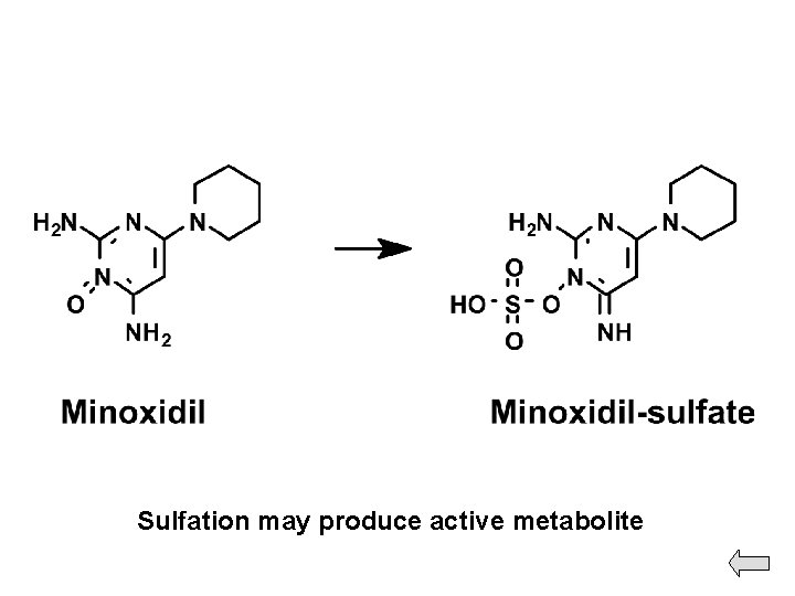 Sulfation may produce active metabolite 