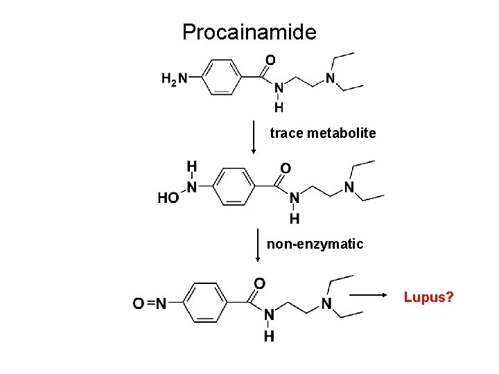 Procainamide trace metabolite non-enzymatic Lupus? 