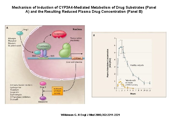 Mechanism of Induction of CYP 3 A 4 -Mediated Metabolism of Drug Substrates (Panel