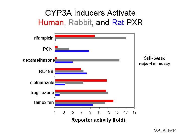 CYP 3 A Inducers Activate Human, Rabbit, and Rat PXR rifampicin PCN Cell-based reporter