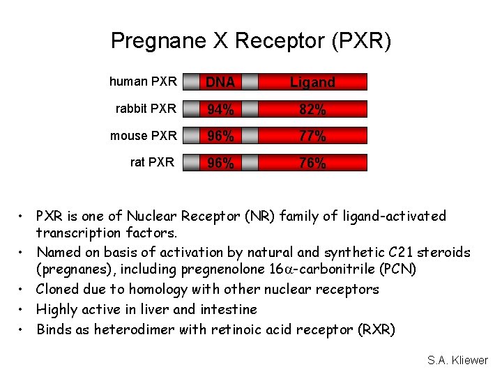 Pregnane X Receptor (PXR) human PXR DNA Ligand rabbit PXR 94% 82% mouse PXR