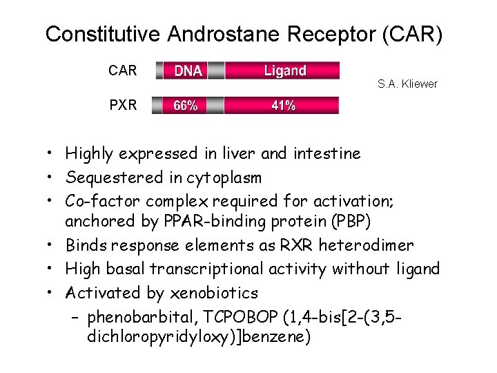 Constitutive Androstane Receptor (CAR) CAR S. A. Kliewer PXR • Highly expressed in liver