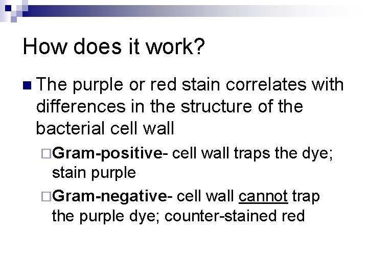 How does it work? n The purple or red stain correlates with differences in