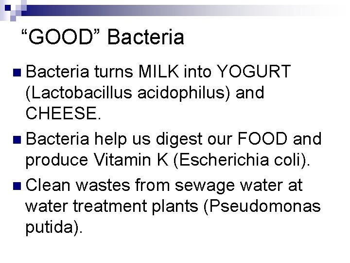 “GOOD” Bacteria n Bacteria turns MILK into YOGURT (Lactobacillus acidophilus) and CHEESE. n Bacteria