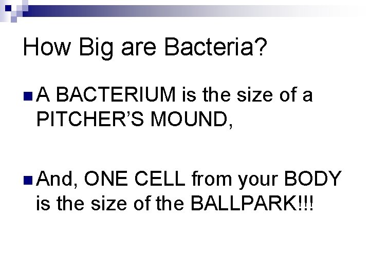 How Big are Bacteria? n. A BACTERIUM is the size of a PITCHER’S MOUND,