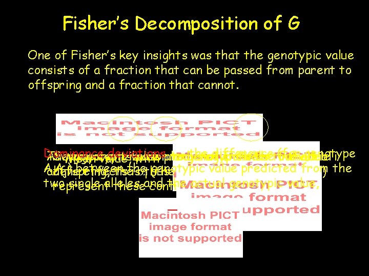 Fisher’s Decomposition of G One of Fisher’s key insights was that the genotypic value