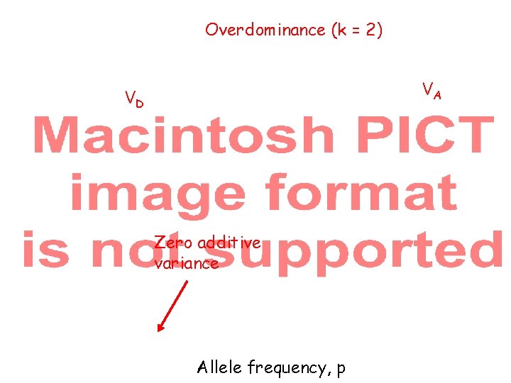 Overdominance (k = 2) VA VD Zero additive variance Allele frequency, p 