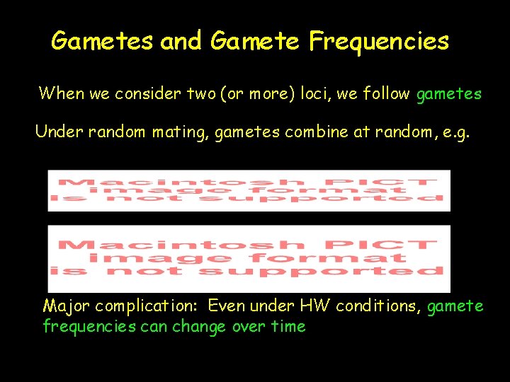 Gametes and Gamete Frequencies When we consider two (or more) loci, we follow gametes