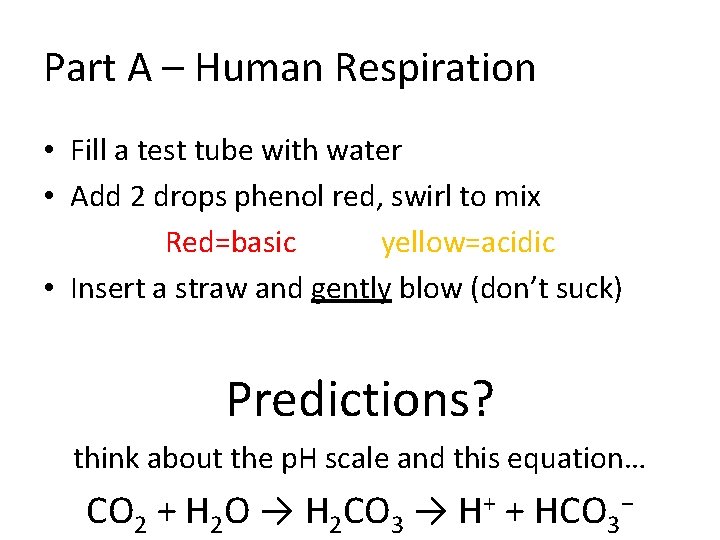 Part A – Human Respiration • Fill a test tube with water • Add