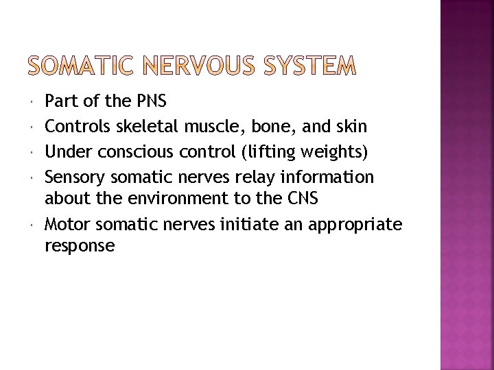  Part of the PNS Controls skeletal muscle, bone, and skin Under conscious control