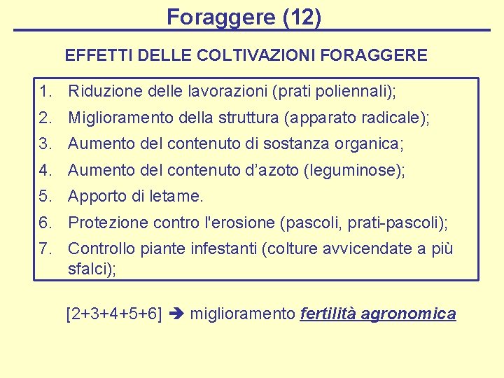 Foraggere (12) EFFETTI DELLE COLTIVAZIONI FORAGGERE 1. Riduzione delle lavorazioni (prati poliennali); 2. Miglioramento