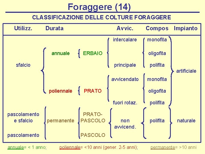 Foraggere (14) CLASSIFICAZIONE DELLE COLTURE FORAGGERE Utilizz. Durata Avvic. intercalare annuale ERBAIO sfalcio Compos