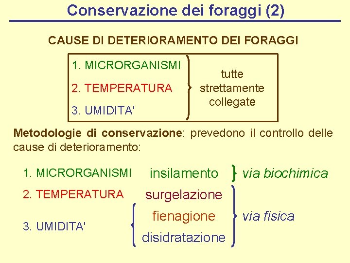Conservazione dei foraggi (2) CAUSE DI DETERIORAMENTO DEI FORAGGI 1. MICRORGANISMI 2. TEMPERATURA 3.