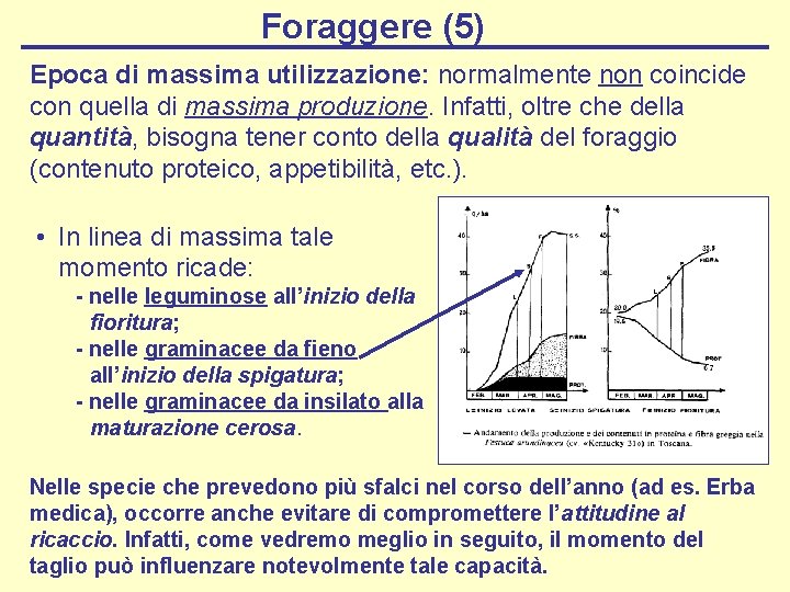 Foraggere (5) Epoca di massima utilizzazione: normalmente non coincide con quella di massima produzione.