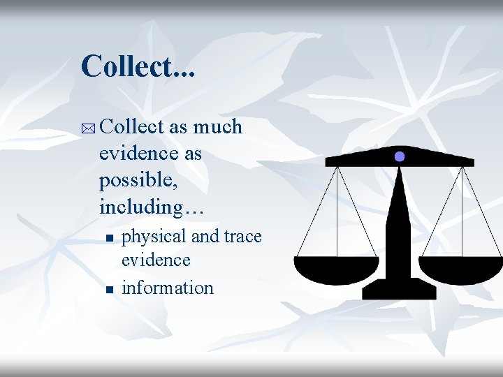 Collect. . . * Collect as much evidence as possible, including… n n physical
