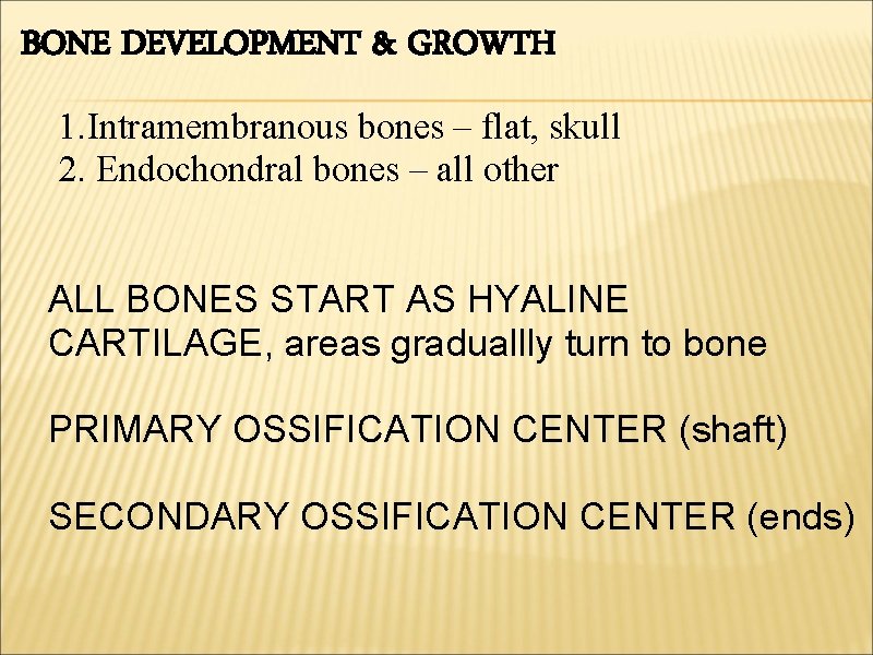 BONE DEVELOPMENT & GROWTH 1. Intramembranous bones – flat, skull 2. Endochondral bones –