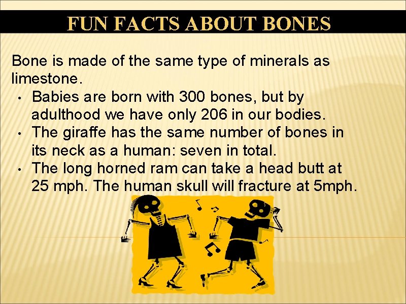 FUN FACTS ABOUT BONES Bone is made of the same type of minerals as