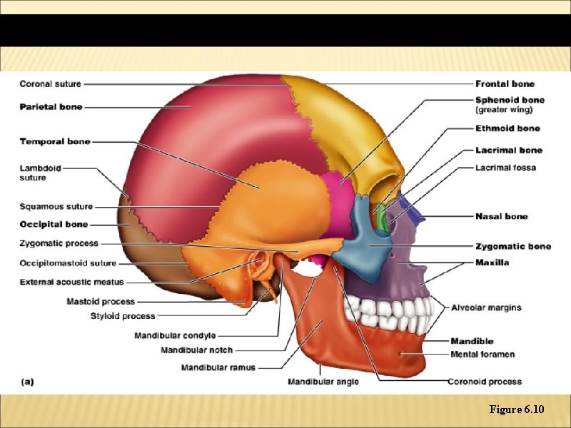 Figure 6. 10 