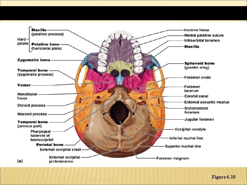 Figure 6. 10 